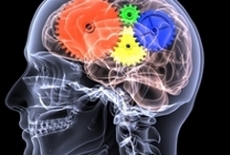 Education and events